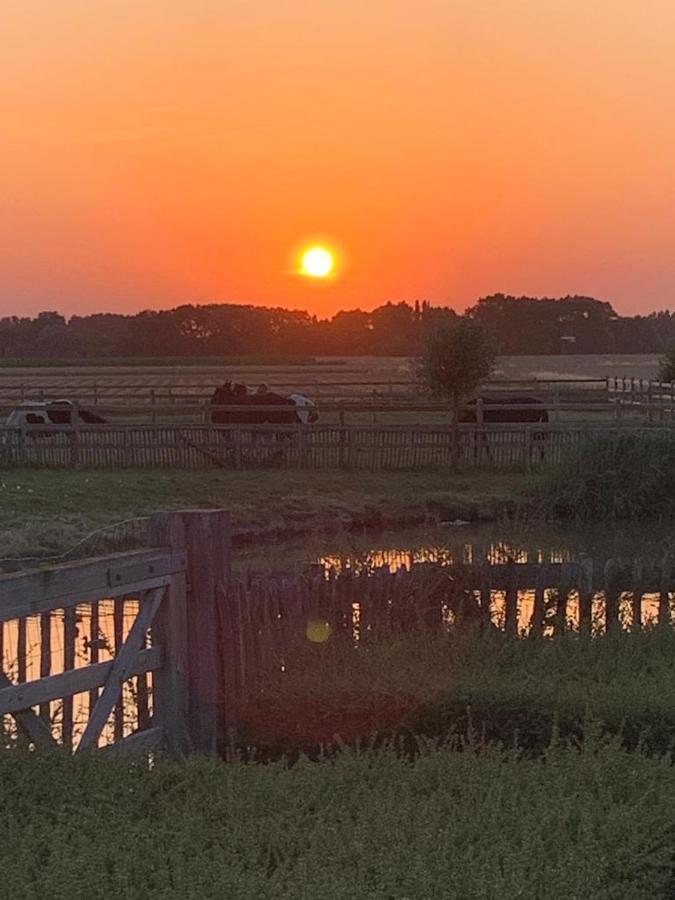 Vakantiehoeve 'T Goed Ter Leeuwen デ ハーン エクステリア 写真